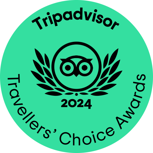 Trip Advisor Travelers Choice Award